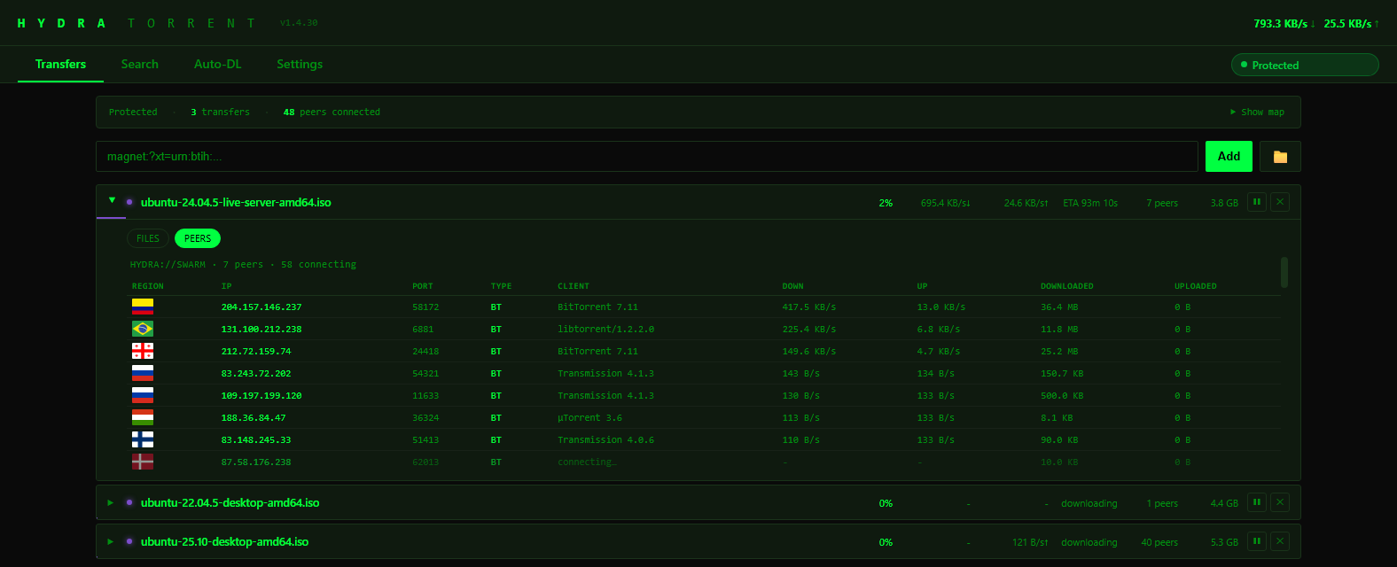 Hydra Torrent showing three active downloads, a VPN-protected badge, and the live peer list with a country flag for each peer